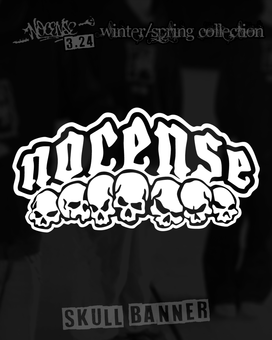 Skull Banner